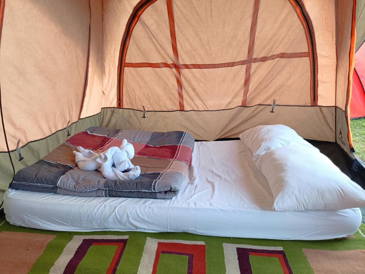 Kintamani Adventures 'Hide In Nature Lodge' מראה חיצוני תמונה